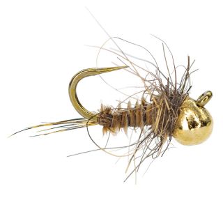 Mosca AB FLY Ninfa FLO CO BE