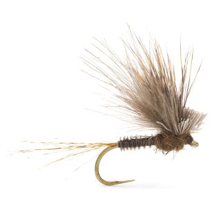 Fly AB FLY Emergers ECDYOPUNK M