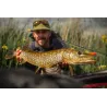 Canna da mosca REDINGTON Big Game 8'3 seta 6