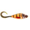 Pesce nuotatore CWC Guppie downsize