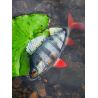 Soft lure FOX RAGE Replicant perch