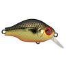 Poisson nageur ZIP BAITS B Switcher 1.0 no rattle