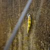 SMITH D Contact 50 crankbait