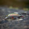 Poisson nageur SMITH D Contact 50 SP