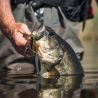 Spinnerbait MEGABASS SV-3 DW 10.5g