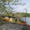 Leurre souple MEGABASS Mag draft hasu raver sinking