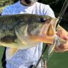 Pesciolino MEGABASS X-Blazar 14g