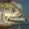 Fishing lure TACKLE HOUSE Feed popper 100