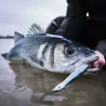 Swimbait XORUS Patchinko 125