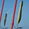 Pesce nuotatore XORUS Patchinko 165
