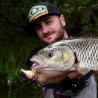 Poisson nageur ZIP BAITS B Switcher 2.0 no rattle