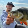 Crankbait ZIP BAITS B Switcher 4.0 rattle
