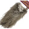 Croupes pardo Whiting Bronze Grizzly pardo