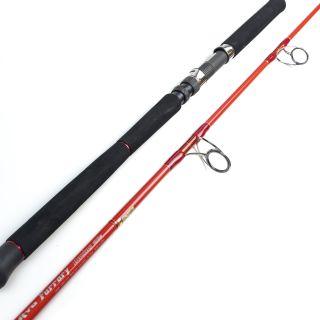 Used spinning rod TENRYU Furrary racing 80lb