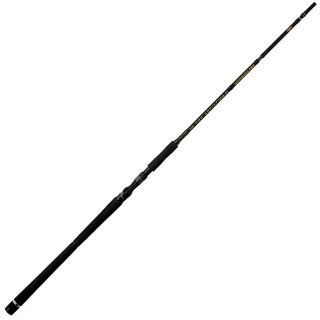 Casting rod ILLEX The artist X5 B 250 XH Notorious pike demo