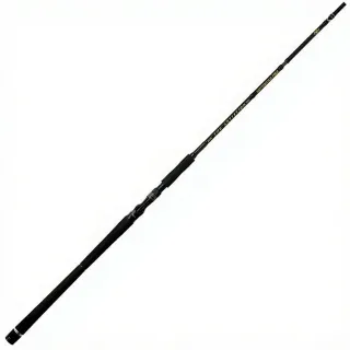 Casting rod ILLEX The artist X5 B 250 XH Notorious pike demo