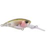 Poisson nageur DUO Realis cranking shad 40 MR