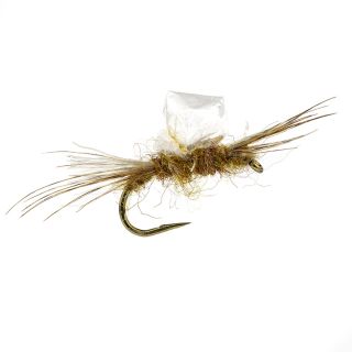 Sub-Sedge Spent SBN Alan Campbell