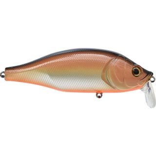 Poisson nageur XORUS Dango 120 SR