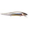 Poisson nageur MEGABASS Vision 110 SR
