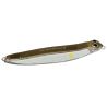 Poisson nageur JACKSON Debu nyoro 120