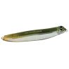 Poisson nageur JACKSON Debu nyoro 120