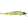Poisson nageur MEGABASS Vision 110 FW