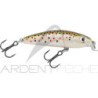 Pesce natante RAPALA Ultra light minnow 04