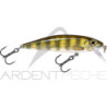 Pesciolino RAPALA X Rap countdown 05