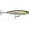 Surface lure RAPALA Precision xtreme pencil 107