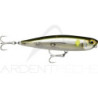 Surface lure RAPALA Precision xtreme pencil SW 107