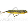 Heddon Super Spook JR Mini - a deadly surface lure - Ardent Pêche