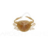 Soft bait BERKLEY Gulp! saltwater peeler crab 2