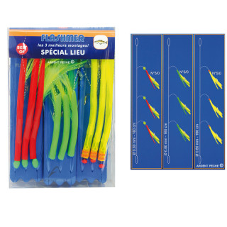 Special Pollack FLASHMER