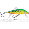 Pesciolino RAPALA Countdown 07