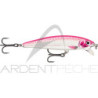 Pesce nuotatore RAPALA X Rap magnum cast