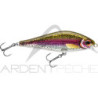 Pesce nuotatore RAPALA Super shadow rap 11