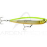 Surface lure RAPALA Precision xtreme pencil SW 107