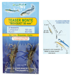 Rigged Teasers FLASHMER