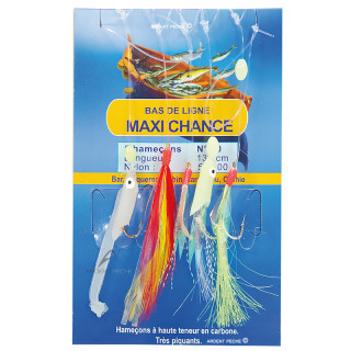 Maxi Chance Leader FLASHMER