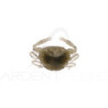 Soft bait BERKLEY Gulp! saltwater peeler crab 2