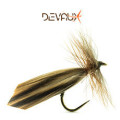 Sedges / tricotteri
