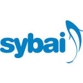 Gamma SYBAI
