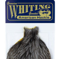 Whiting Hen Necks