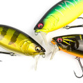 Predatori